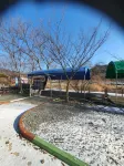 Hoengseong Pine Field Sports Park Auto Camping Site