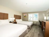 Best Western Houston Bush InterContinental Airport Inn Hotels in Humble