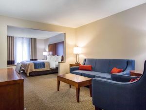 Comfort Inn & Suites Hotel in the Black Hills