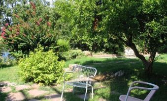 a garden with two white chairs and a bench , surrounded by greenery and a red flowering tree at Hotel Martino