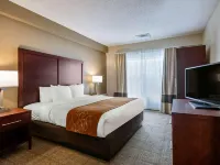 Comfort Suites Downtown Hotels near Central Park