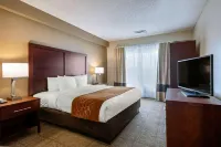 Comfort Suites Downtown Hotels in Winter Park