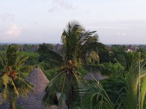 Room in Holiday House - Kivuli Villas We Charge Per Room Per Night