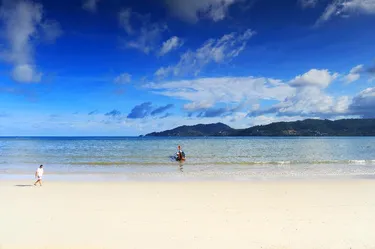 รูปภาพของบ้านบัวรีสอร์ท