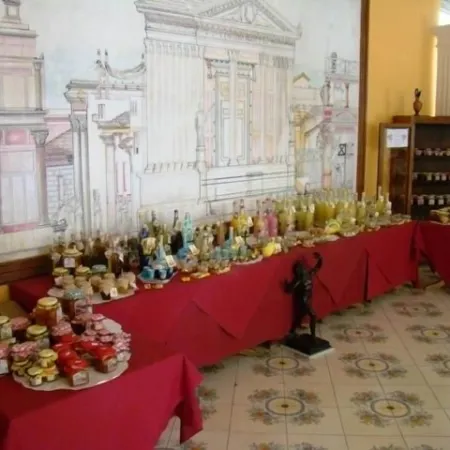 Hotel Zeus
