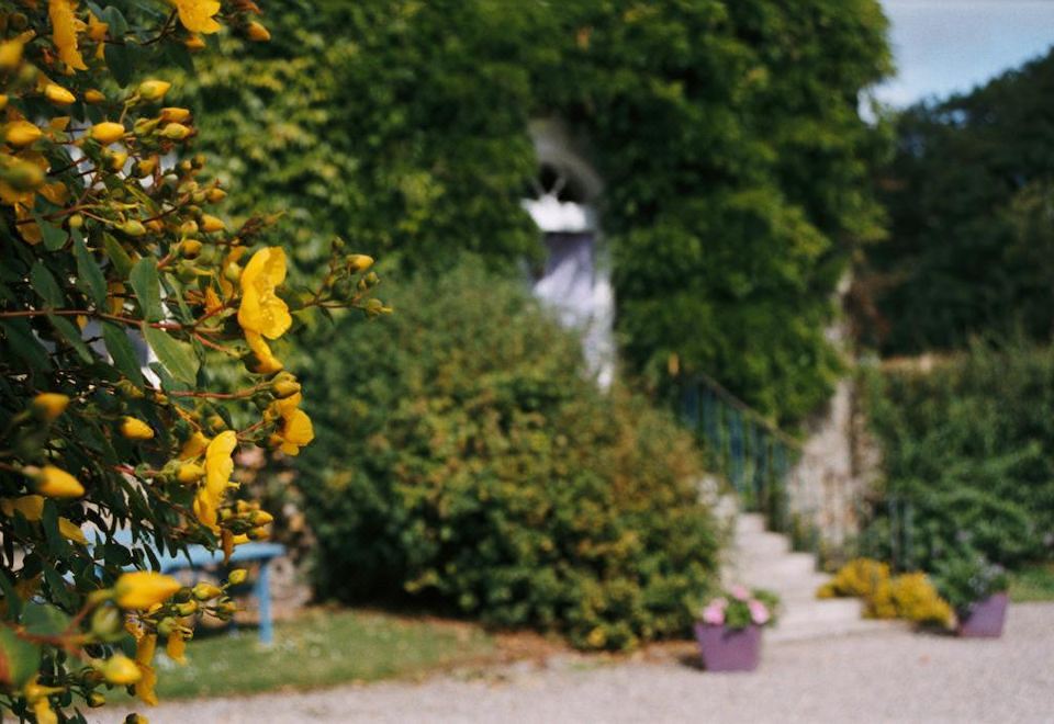Glebe Country House - Housity