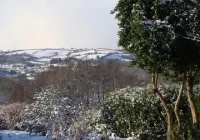 Vine Cottage Hotels in Lostwithiel