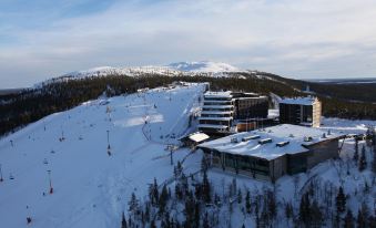 Hotel Levi Panorama & Levi Chalets