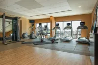 Hilton Garden Inn Mobile Downtown - Gym