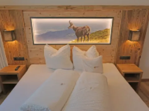 Ladis 拉迪斯酒店