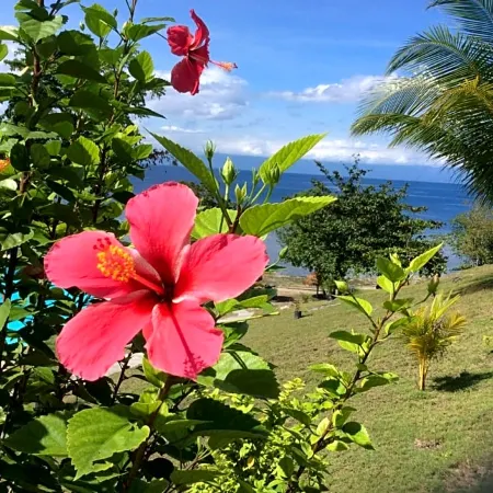 Cuestas Beach Resort and Restaurant