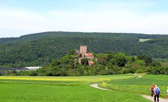 Gasthaus & Hotel Drei Lilien