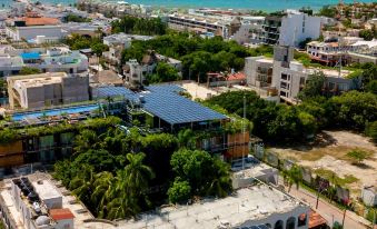 Tú Paraiso Privado- Lahun Suites Playa del Carmen