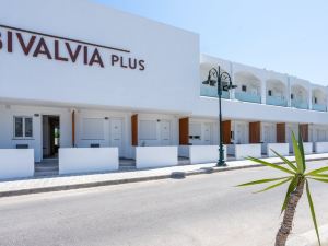 Bivalvia Beach Plus