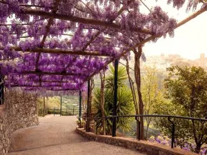Villa San Lorenzo