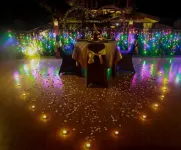 Aliyana Hotel & Resort Hotels in Temanggung