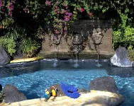峇里島波比斯酒店 - 溫泉
