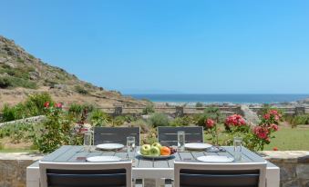 Naxos Luxury Villas