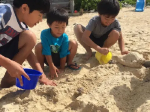 Hotel & Restaurant on the Beach Lue Hotels in Motobu