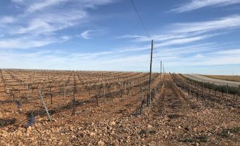 Hostal Rural Los Girasoles de Iniesta