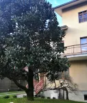 Flatmilan Hotel in zona Oratorio Don Bosco Carugate