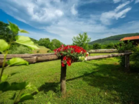 Ranch Jelov Klanac Hotels in Rakovica