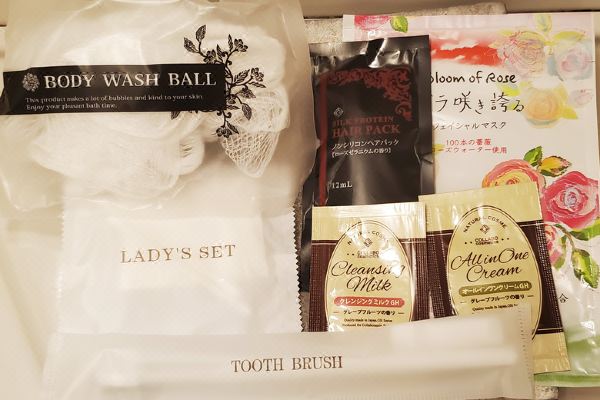 다치가와 리젠트 호텔(Tachikawa Regent Hotel)_3