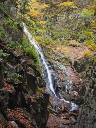 Nishimuraya Отели в г. Ябу