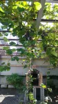 Guest House Marin Hotels near JR Sambommatsu station