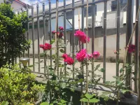 象山隆欣豪華別墅民宿（巨鷹路分店）