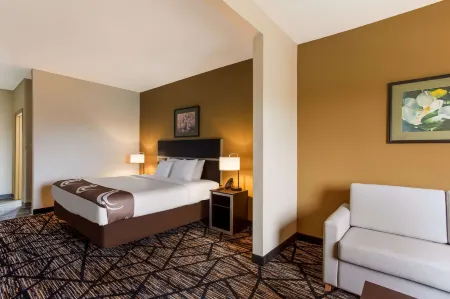 Quality Inn & Suites Pearl-Jackson