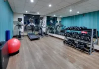 Holiday Inn Express & Suites AUSTIN - ROUND ROCK by IHG - Gym