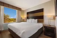 Spark by Hilton Destin