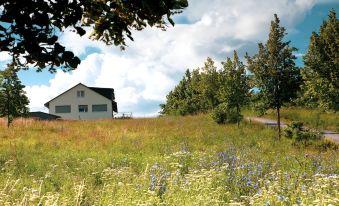 Apartments am Ringelberg