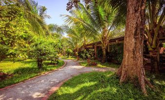 Sen Viet Phu Quoc Resort Sport & Spa