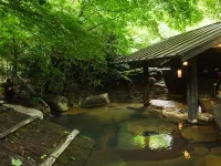 Ryokan Sanga - spa