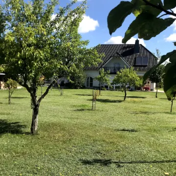 Haus Im Grünen / House in the Green