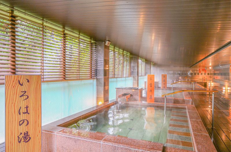 Ooedo Onsen Monogatari Premium Kinugawa Kanko Hotel photo 6