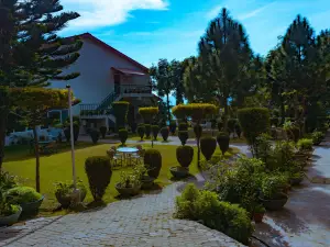 The Fern Surya Resort Kasauli Hills, Dharampur