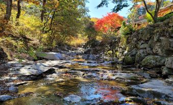 Gapyeong Dume Mountain Pension