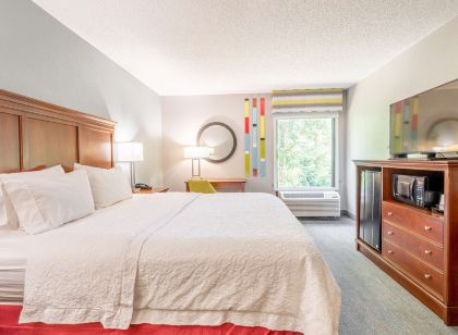 햄프턴 인 게인즈빌