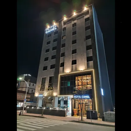Sokcho Business Hotel Camel
