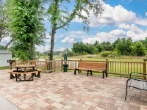 Microtel Inn & Suites by Wyndham Brooksville Hotels in Hernando County