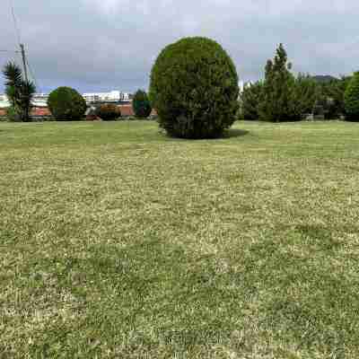 Casa da Fajã - Spacious, Garden, and Private Parking Others