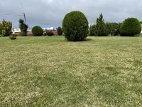 Spacious, Garden, and Private Parking