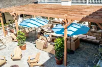 Hotel Carmel - bar
