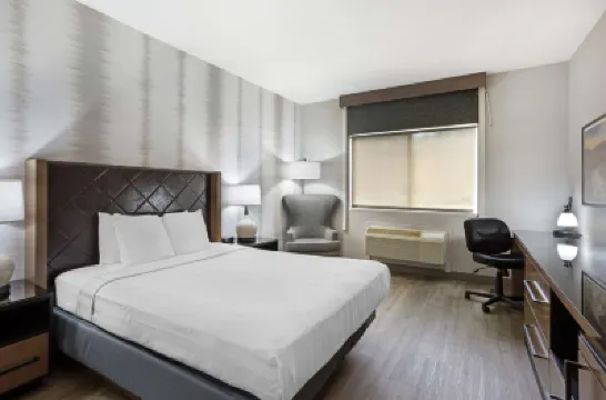 Best Western Holiday Hills Hotels in 