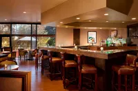 Sheraton Minneapolis West Hotel - bar