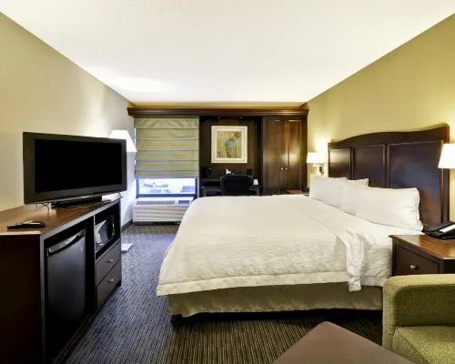 Hampton Inn Kansas City-Airport Hotels in May Township
