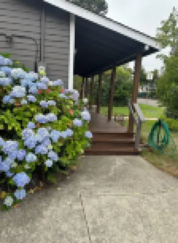 Wonderfully located near Bay Street and all the wonderful restaurants. Sauna!